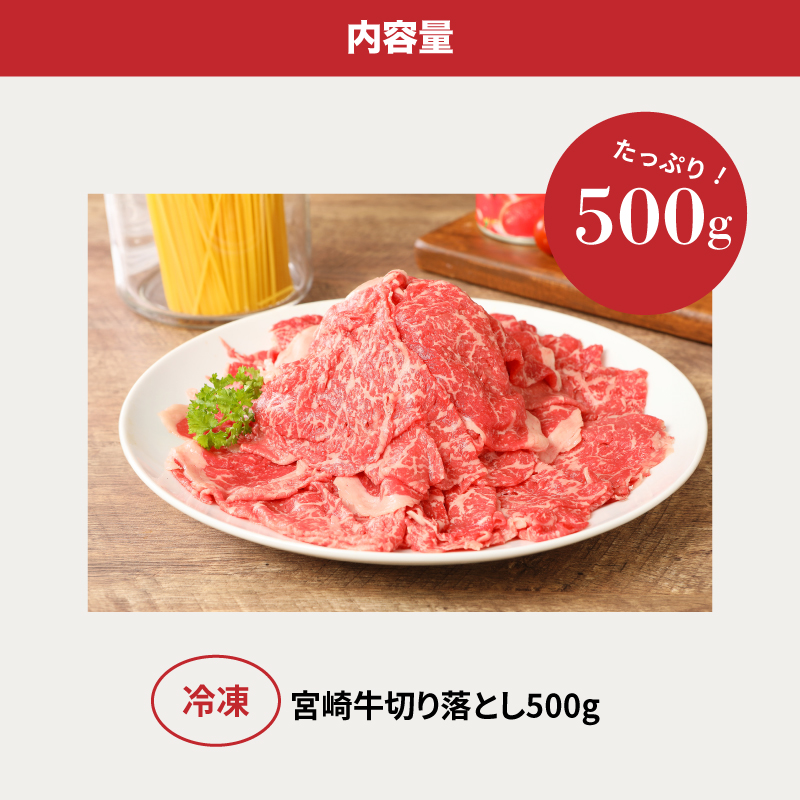 ＜宮崎牛　和牛　切り落とし500g＞ K01_0009_1
