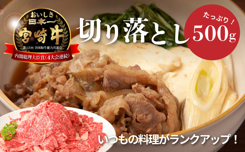 ＜宮崎牛　和牛　切り落とし500g＞ K01_0009_1