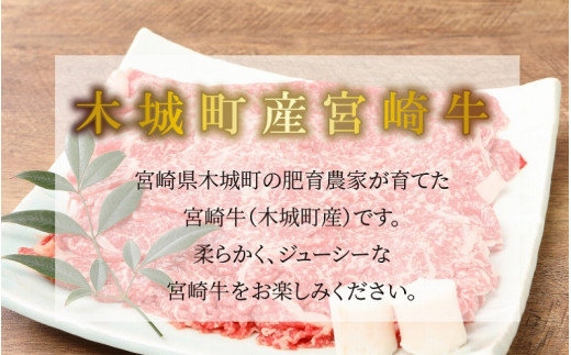 ＜宮崎牛和牛モモ肉すき焼き用500g＞ K01_0010_1