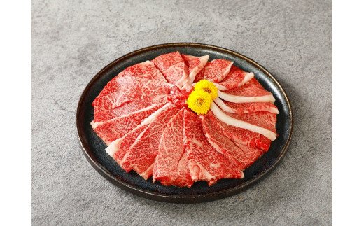 宮崎牛ウデ焼肉400ｇ　宮崎県産和牛小間切れ100ｇ K18_0025_4