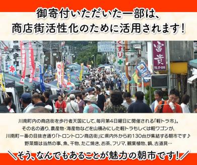 ã12ã¶æå®æäŸ¿ãå®®åŽçç£è¥é¶ãæ¥åã©ããããèïŒããèïŒæçŸœå
ãèš6kgïŒå2ãÃ1ïŒ ã ãµãããšçŽçš é¶è é¶ è¥é¶ ãã ãã æçŸœå
ã»ãã å®®åŽçç£ å·åçº ããã¡æé ããã¡ãã¯ã å®æäŸ¿ éæç¡æ ã