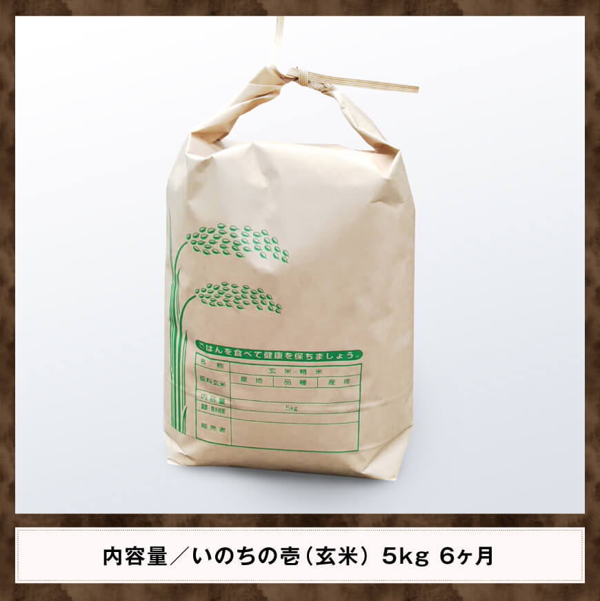 【6ヶ月定期便】 黒木農園のお米 「いのちの壱(玄米)」 5kg 【 米 お米 玄米 国産 宮崎県産 いのちのいち おにぎり 】