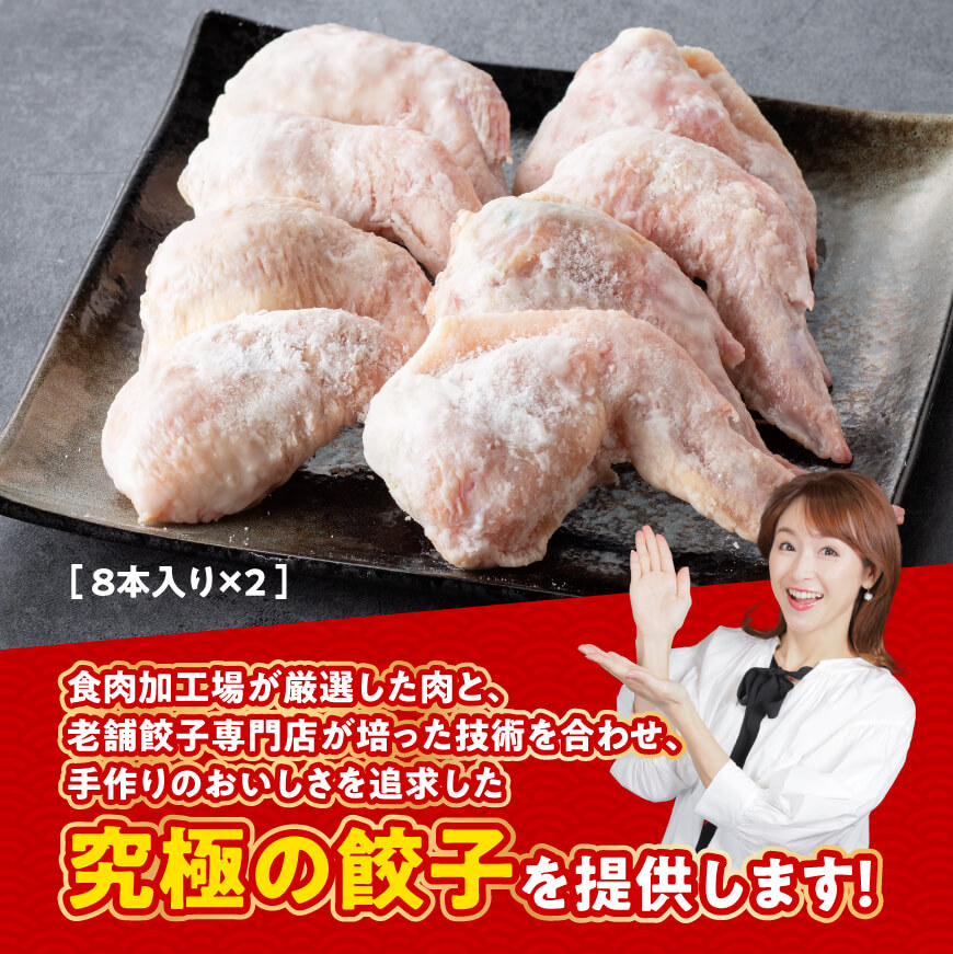 《令和6年10月発送》宮崎 手羽ぎょうざ 16本 1kg 【鶏肉 鳥 手羽先 手羽 餃子 ぎょうざ ギョーザ おつまみ 送料無料】