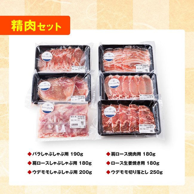 【令和7年5月発送】【いろんな料理にアレンジできちゃう満喫コース】（精肉）さんきょうみらい豚満喫セット【豚肉 ポーク ぶた 国産 宮崎県産 さんきょうみらい豚 大人気】