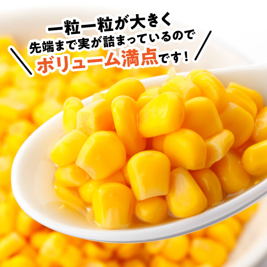 【令和8年発送】宮崎県産とうもろこし　スイートコーン「ゴールドラッシュ」3L×3本【新鮮 農家直送 トウモロコシ 産地直送 季節限定 期間限定 宮崎県産 九州産】