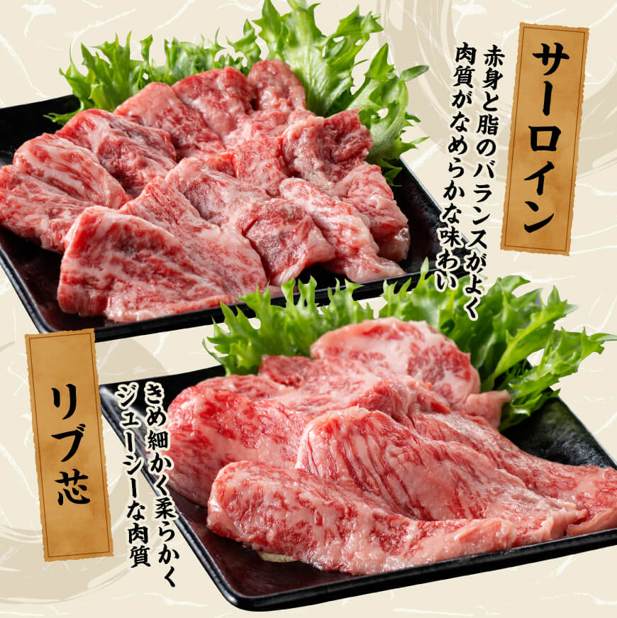 宮崎牛 焼肉 食べ比べ 6種盛 600g【 肉 牛肉 国産 宮崎県産 黒毛和牛 和牛 焼肉 バーベキュー 】