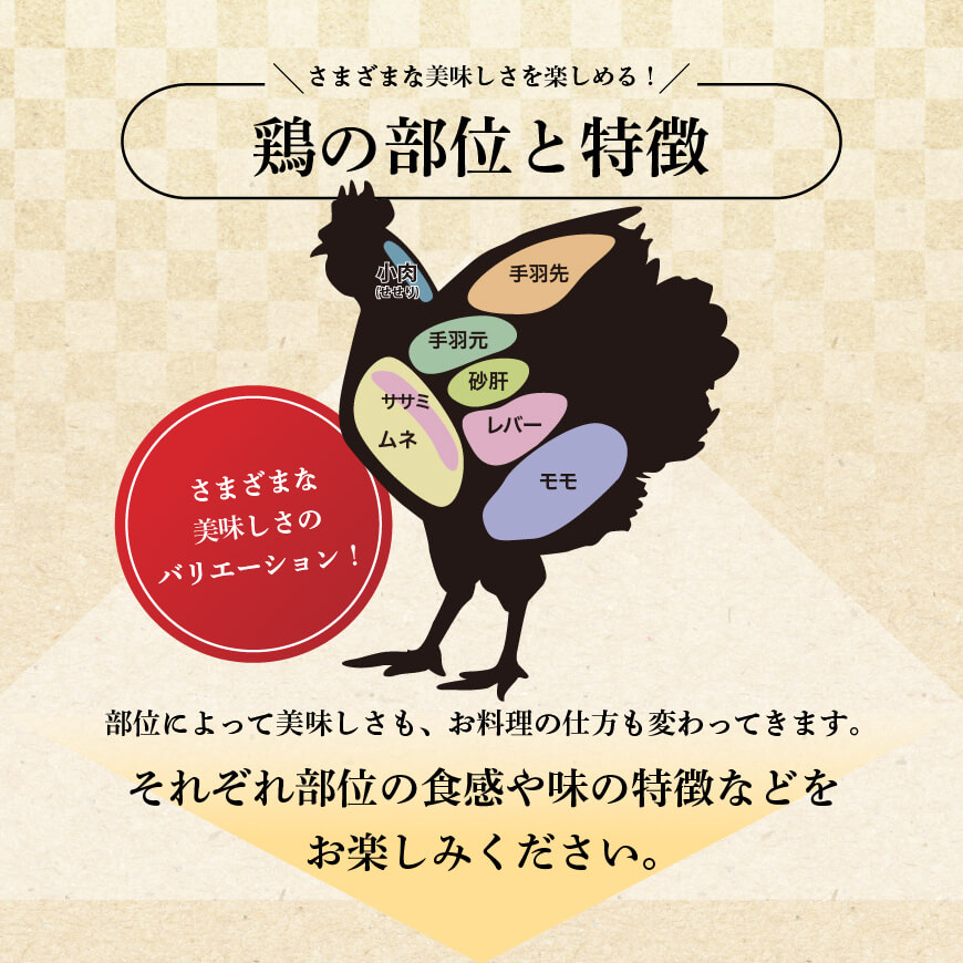 《令和6年11月発送》宮崎 手羽ぎょうざ 16本 1kg 【鶏肉 鳥 手羽先 手羽 餃子 ぎょうざ ギョーザ おつまみ 送料無料】