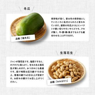 産直おすず村 季節の野菜と果物 厳選 詰め合わせセット（大）【旬野菜 フルーツ 直売所 産地直送 宮崎県産】