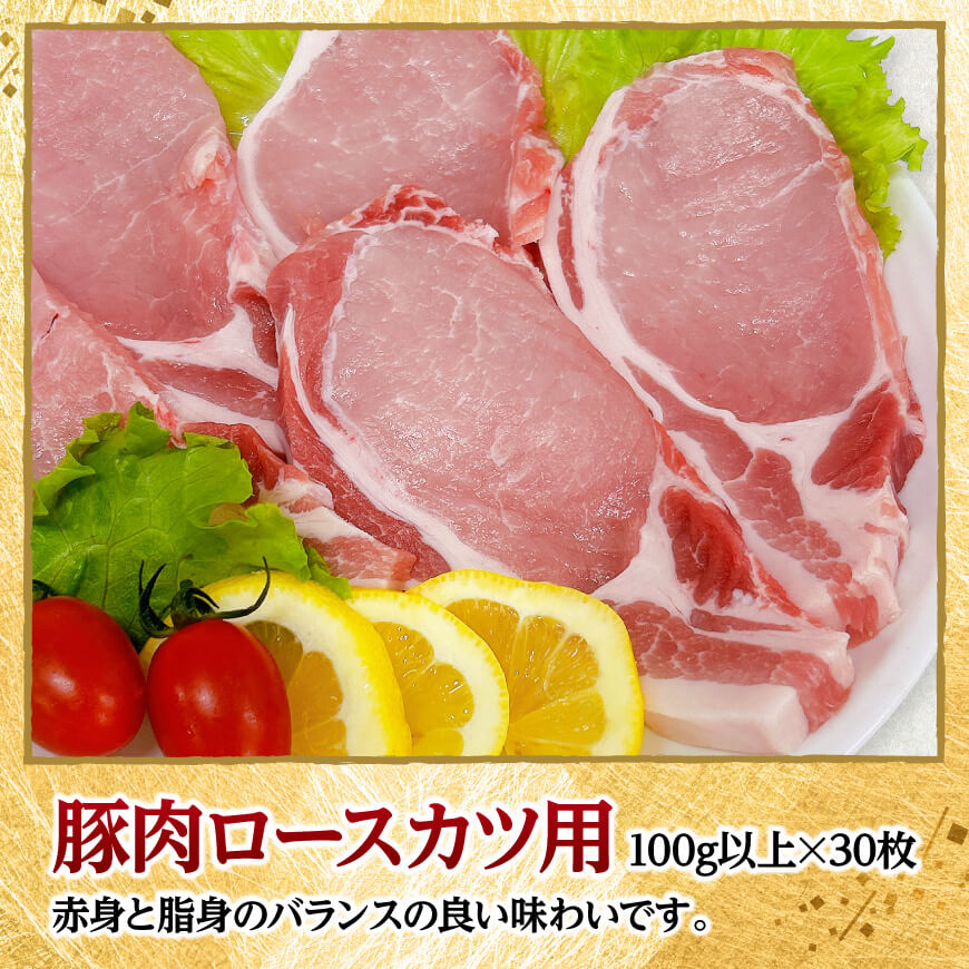 宮崎県産豚肉ロースとんかつ用30枚 【 豚肉 豚 肉 宮崎県産 ロースカツ 送料無料 】