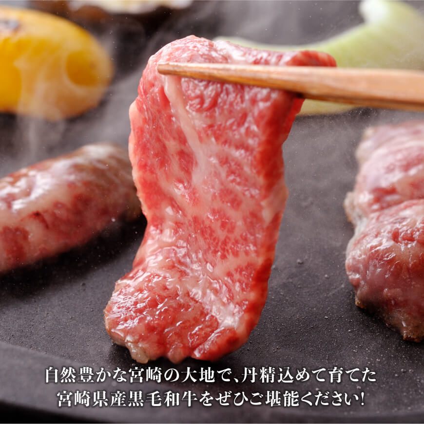 黒毛和牛5種盛り 焼肉セット（数量限定）300g 【 肉 牛肉 国産 宮崎県産 黒毛和牛 ミヤチク BBQ バーベキュー 送料無料