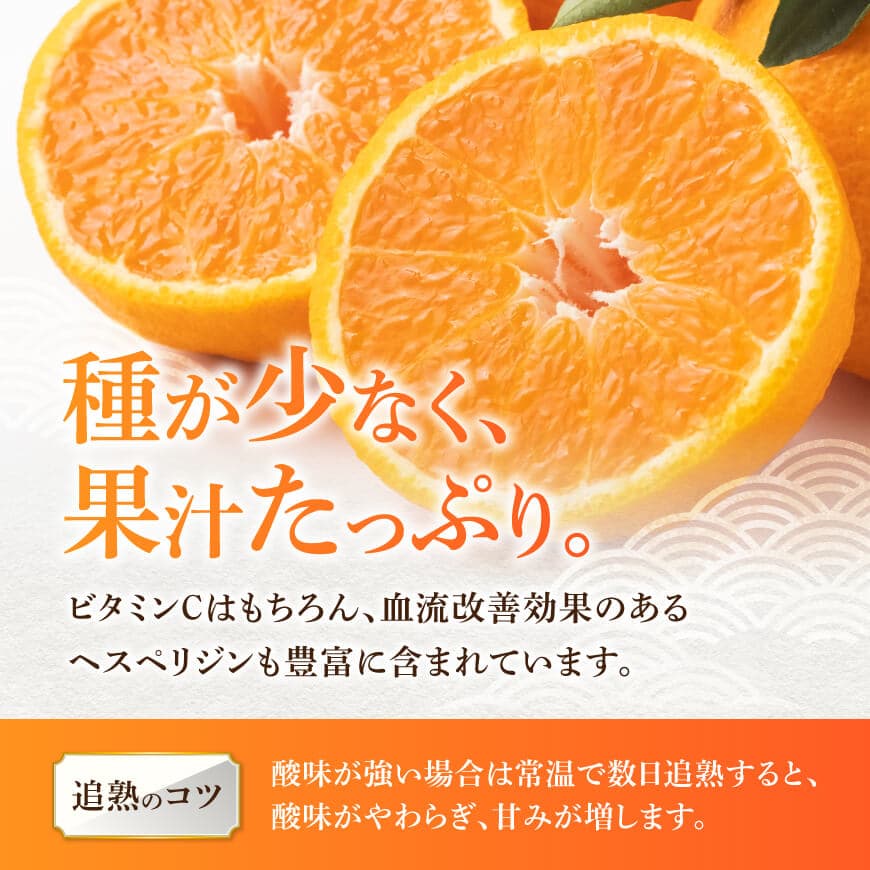 宮崎県川南町産「不知火（しらぬい）」６～１０玉 【 先行予約 季節限定 果物 くだもの フルーツ しらぬい 不知火 みかん 】