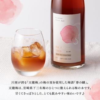 【数量限定】オリジナル本格焼酎「トロントロン(25度)」と梅酒「春の鱗」のセット【 お酒 アルコール 酒 焼酎 】