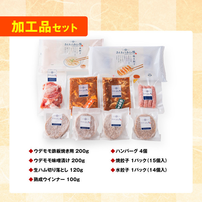 【令和7年3月発送】【かんたん調理で満喫コース】（加工品）さんきょうみらい豚満喫セット【豚肉 ポーク ぶた 国産 宮崎県産 さんきょうみらい豚 大人気】