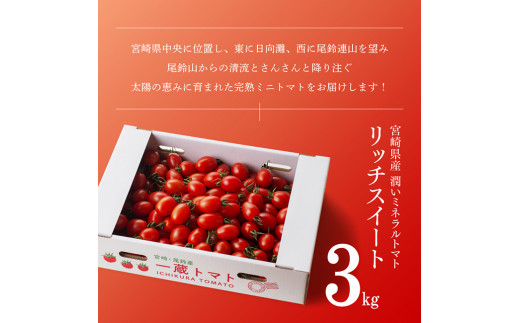 《令和7年2月発送》【訳あり】宮崎県産ミニトマト 潤いミネラルトマト「リッチスイート」3kg【 九州産 川南町産 ミニトマト 新鮮 ヘルシー とまと 野菜 】