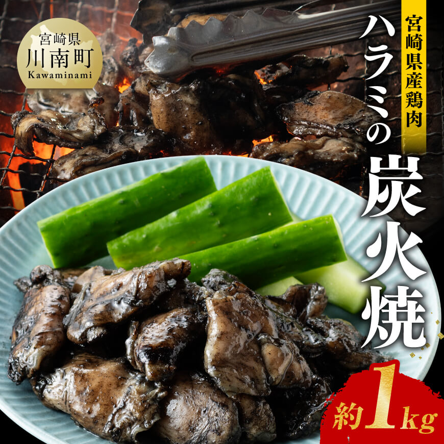 【令和7年2月発送】宮崎県産 鶏肉 ハラミ の 炭火焼 1kg 【 肉 鶏 鶏肉 モモ肉 炭火焼 ジューシー 宮崎名物 】