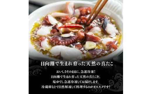 漁協直送！天然タコ（湯がき済）小分けで500g前後 【 たこ 蛸 海産物 日向灘 地どれ 】