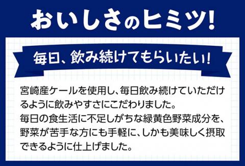 【定期便】宮崎青汁 125ml×48本セット 3ケ月定期便【野菜飲料 健康飲料 野菜ジュース ケール やさい 健康 美容 全3回】