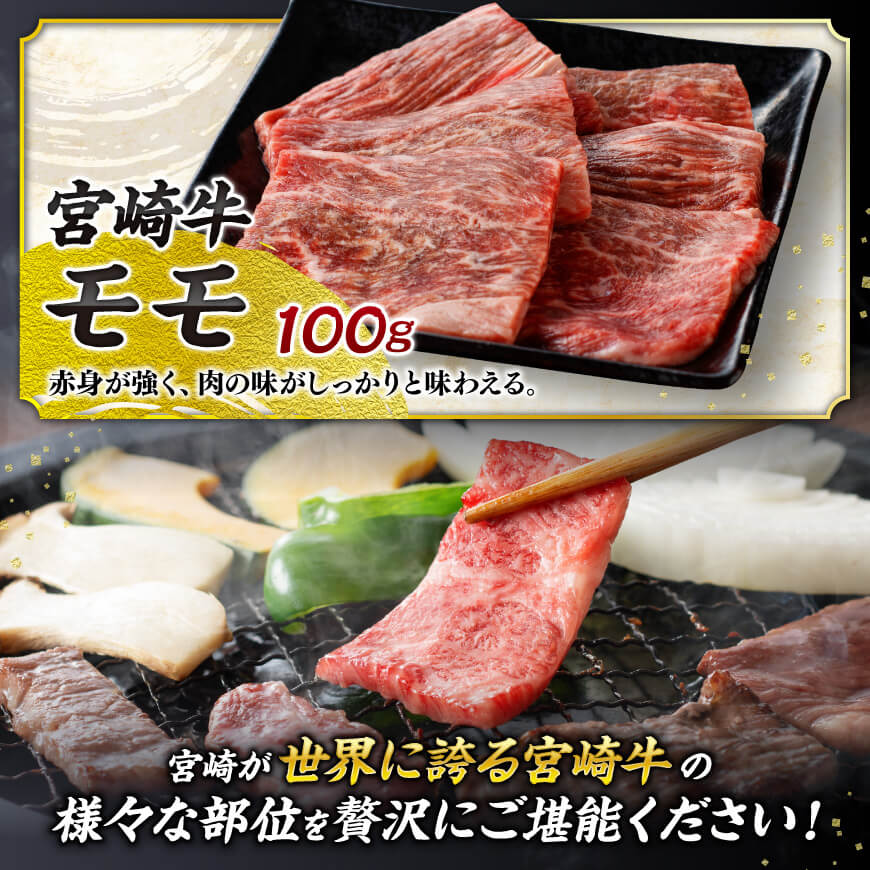 宮崎牛 ＆ 宮崎県産 豚肉 焼肉 10種 【 肉 牛肉 豚肉 ぶた肉 国産 黒毛和牛 食べ比べ 4等級 5等級 ミヤチク 焼肉 BBQ バーベキュー 】