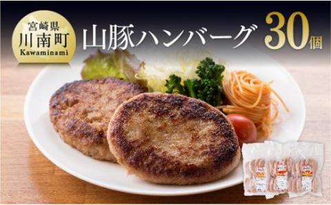 きじょん山豚 ハンバーグ 30個【肉 豚肉 加工品 惣菜 宮崎県産ブランド豚 おかず ポークハンバーグ 焼くだけ 簡単調理 たっぷり 大容量】