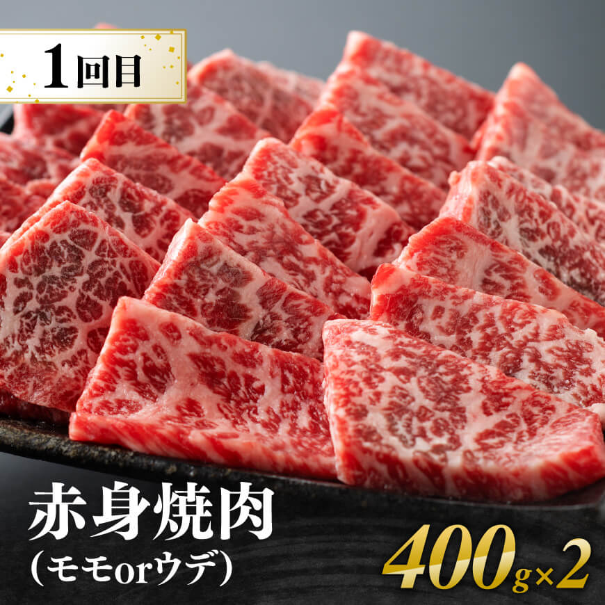 【6ヶ月定期便】厳選焼肉定期便【肉 牛肉 国産 宮崎県産 宮崎牛 焼肉 BBQ モモ ウデ 肩ロース 】