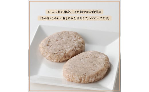 【令和7年2月発送】さんきょうみらい豚 ”ふんわりやわらか” ハンバーグセット(90g×11P、ソース200g付) 【 豚肉 国産 肉 豚 おかず 惣菜 ハンバーグ 】