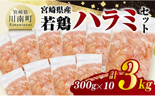 宮崎県産若鶏　ハラミ3kg（300g×10） 【 鶏肉 鶏 ハラミ 肉 宮崎県産 小分け パック 送料無料 】