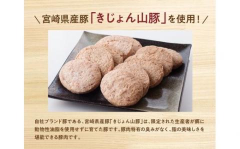 きじょん山豚 ハンバーグ 30個【肉 豚肉 加工品 惣菜 宮崎県産ブランド豚 おかず ポークハンバーグ 焼くだけ 簡単調理 たっぷり 大容量】