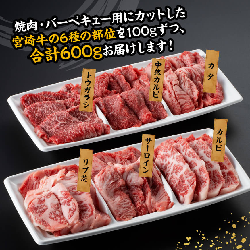 宮崎牛 焼肉 食べ比べ 6種盛 600g【 肉 牛肉 国産 宮崎県産 黒毛和牛 和牛 焼肉 バーベキュー 】