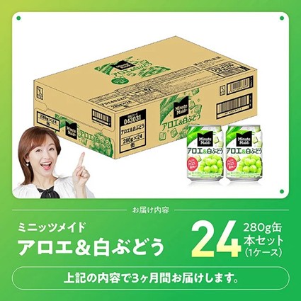 【3ヶ月定期便】コカ・コーラ ミニッツメイド「アロエ&白ぶどう」280g缶 24本 【 飲料 アロエ 白ぶどう 果汁 長期保存 定期便 】