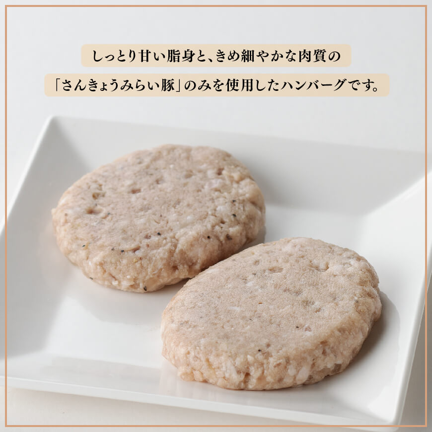 【令和8年4月発送】さんきょうみらい豚 ”ふんわりやわらか” ハンバーグセット(90g×11P、ソース200g付) 【 豚肉 国産 肉 豚 おかず 惣菜 ハンバーグ 】