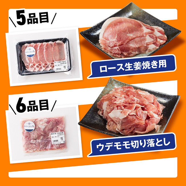 【令和8年6月発送】【いろんな料理にアレンジできちゃう満喫コース】（精肉）さんきょうみらい豚満喫セット【豚肉 ポーク ぶた 国産 宮崎県産 さんきょうみらい豚 大人気】