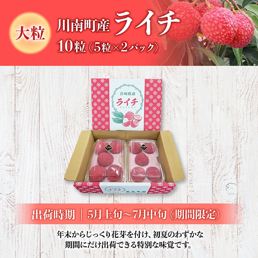【令和8年産】川南町産ライチ（大粒）10粒(5粒×2パック)【 国産ライチ フルーツ デザート 宮崎県産 】
