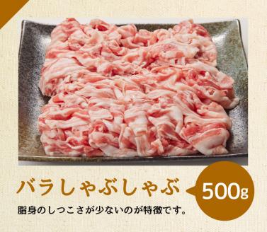 宮崎県産 豚肉 バラエティ 4種 セット 2.5kg 国産豚 ブランド豚