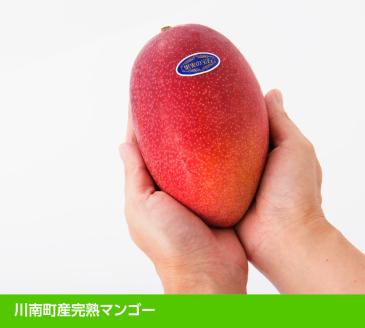 【令和8年発送】宮崎県産完熟マンゴー「果実の宝石」　4L×1玉 【 果物 フルーツ マンゴー 宮崎県産 みやざきマンゴー 先行予約 数量限定 期間限定 】