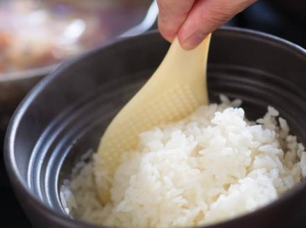 【令和6年産】 宮崎県産 こしひかり 「 シタギリ米 」 5kg×2 【 米 お米 白米 精米 国産 宮崎県産 こしひかり おにぎり 】