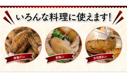 【業務用】宮崎県産 若鶏 手羽先 12kg【国産 九州産 鶏肉 肉 とり 日南どり 大容量】