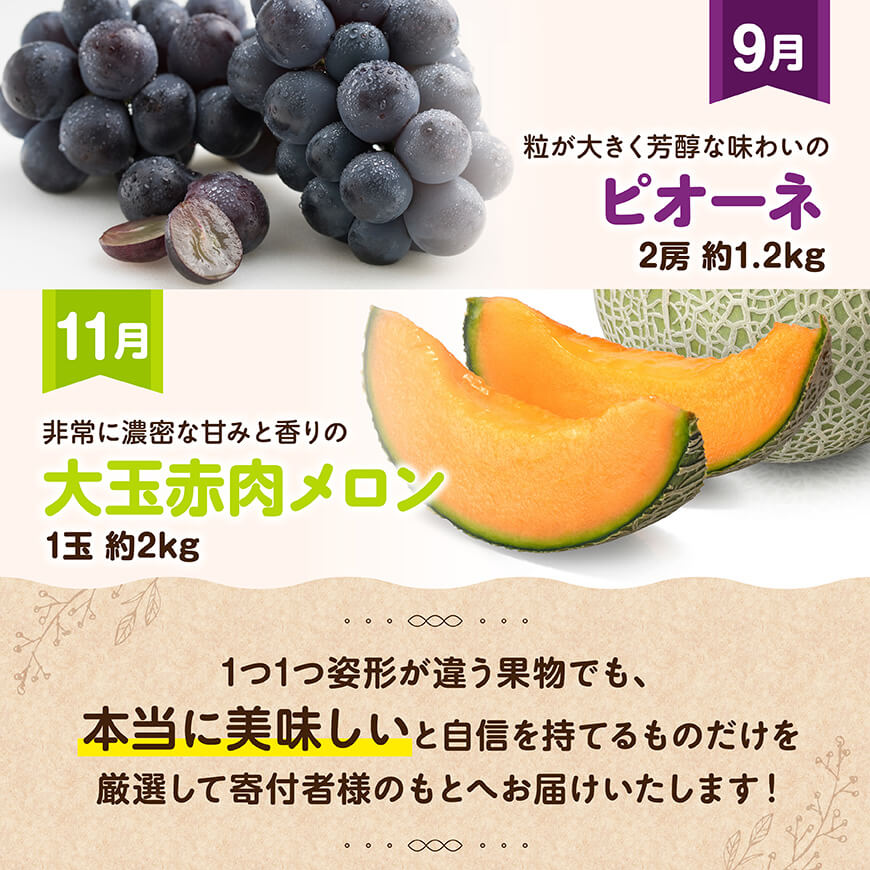 縲 蜈ィ6蝗槫ョ壽悄萓ソ 縲 繝励Ξ繝溘い繝 繝繝ゥ繝繧ッ繧ケ 螳壽悄萓ソ 縲仙・謨ー譛医 縲 蟾晏漉逕コ逕」 縺阪s縺九s 縺縺。縺 螳檎 繝槭Φ繧エ繝シ 縺カ縺ゥ縺 繝斐が繝シ繝 襍、閧 繝。繝ュ繝ウ 縲