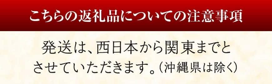 《先行予約》担当者厳選！伊勢海老(小)1000g（5～9尾） 【 伊勢えび 魚介類 いせえび 海産物 宮崎県産 国産 】