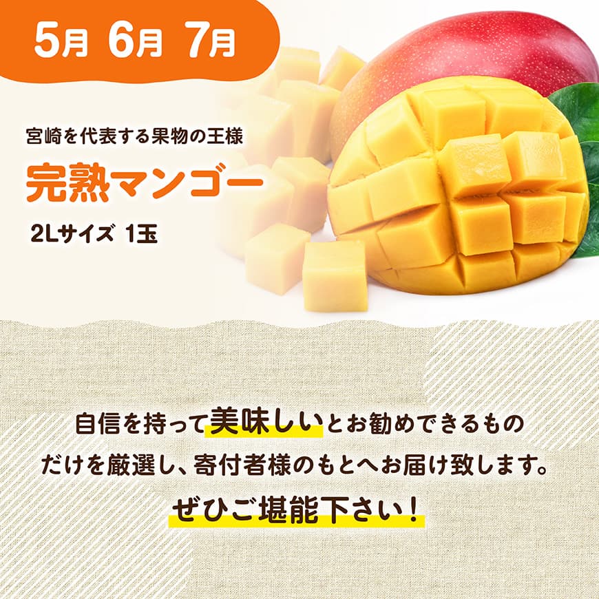【3ヶ月定期便】完熟マンゴー定期便Vol.1 【 川南町産 くだもの マンゴー   】