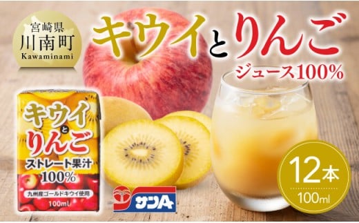 サンAキウイとりんごジュース100％　100ml紙パック×12本 【 飲料 ジュース キウイ りんご リンゴ 九州産 紙パック 送料無料 】