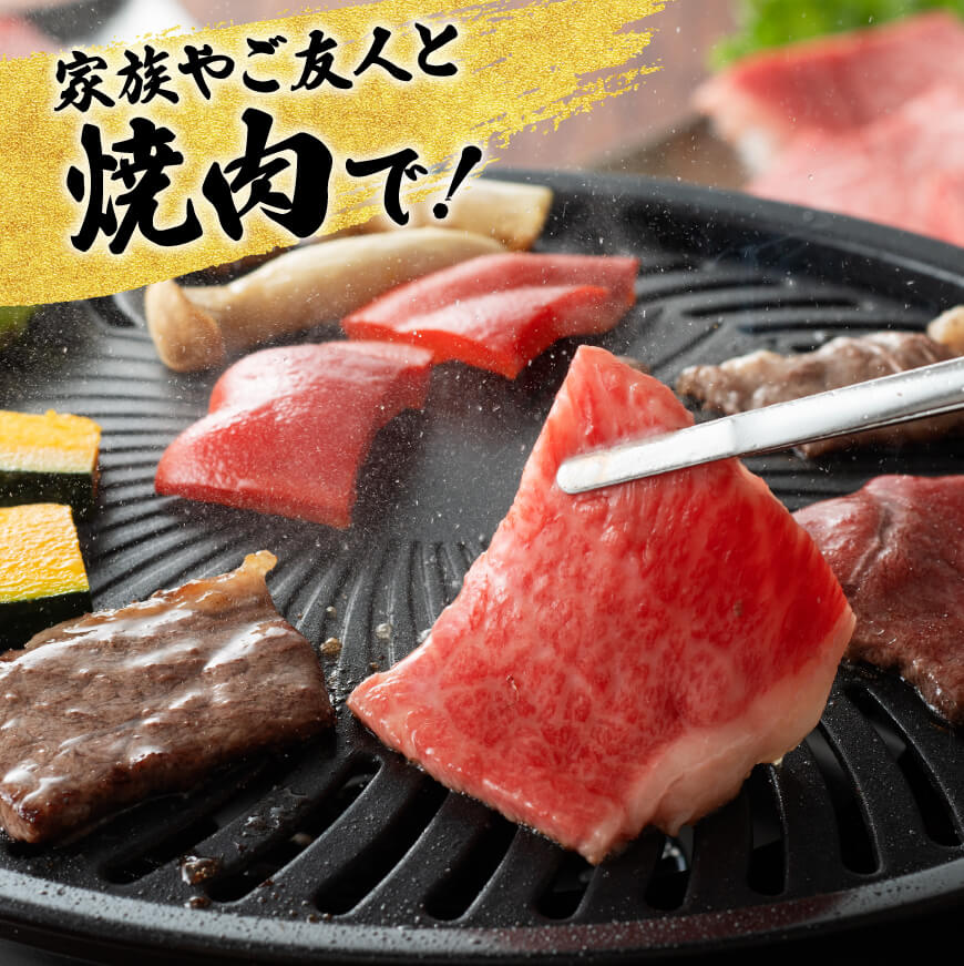 【3ヶ月定期便】 宮崎牛用途別便A 【肉 牛肉 国産 宮崎県産 宮崎牛 黒毛和牛 和牛 しゃぶしゃぶ すき焼き ステーキ 焼肉 4等級  A4ランク 肩ロース ロース E11127】