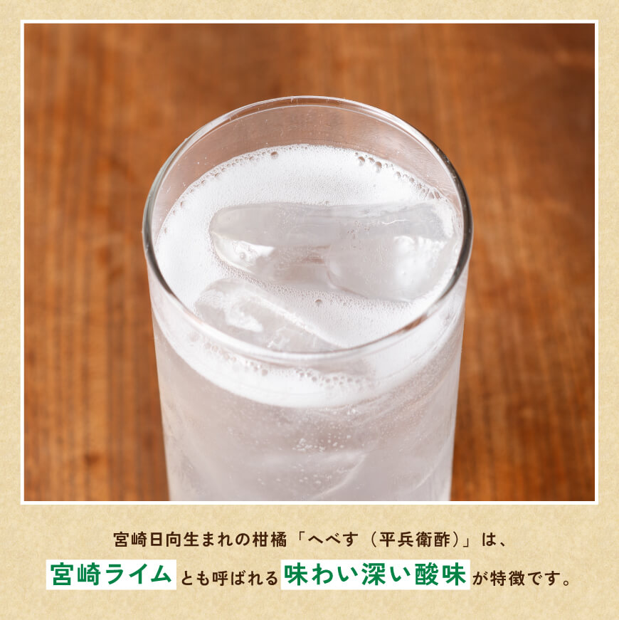 【6ヶ月定期便】サンA 乾杯果汁「マンゴー酎ハイ＆へべす酎ハイ」48本【飲料 アルコール お酒 チューハイ マンゴー へべす 宮崎県産 川南町 送料無料 E3008t6】