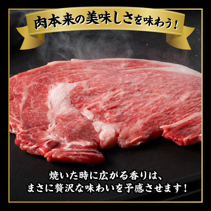 宮崎牛 サーロインステーキ 400g 【 肉 牛肉 国産 宮崎県産 黒毛和牛 サーロインステーキ 】