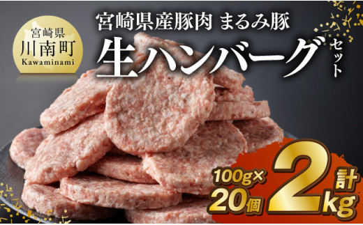 宮崎県産豚肉 「まるみ豚」 生ハンバーグセット計2kg（100g×20個） 【 肉 豚肉 国産 ハンバ―グ 弁当 おかず お手軽 真空パック 九州産 宮崎県産 川南町産 送料無料 】