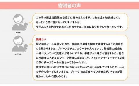 【定期便6回コース】とろける生チーズケーキ（プレーン・チョコ）+メロンパン【スイーツ ケーキ チーズケーキ プレーン チョコ 洋菓子 おまけつき お菓子 全6回】