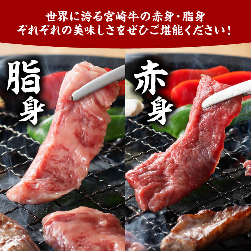 宮崎牛 焼肉 食べ比べ 6種盛 600g【 肉 牛肉 国産 宮崎県産 黒毛和牛 和牛 焼肉 バーベキュー 】