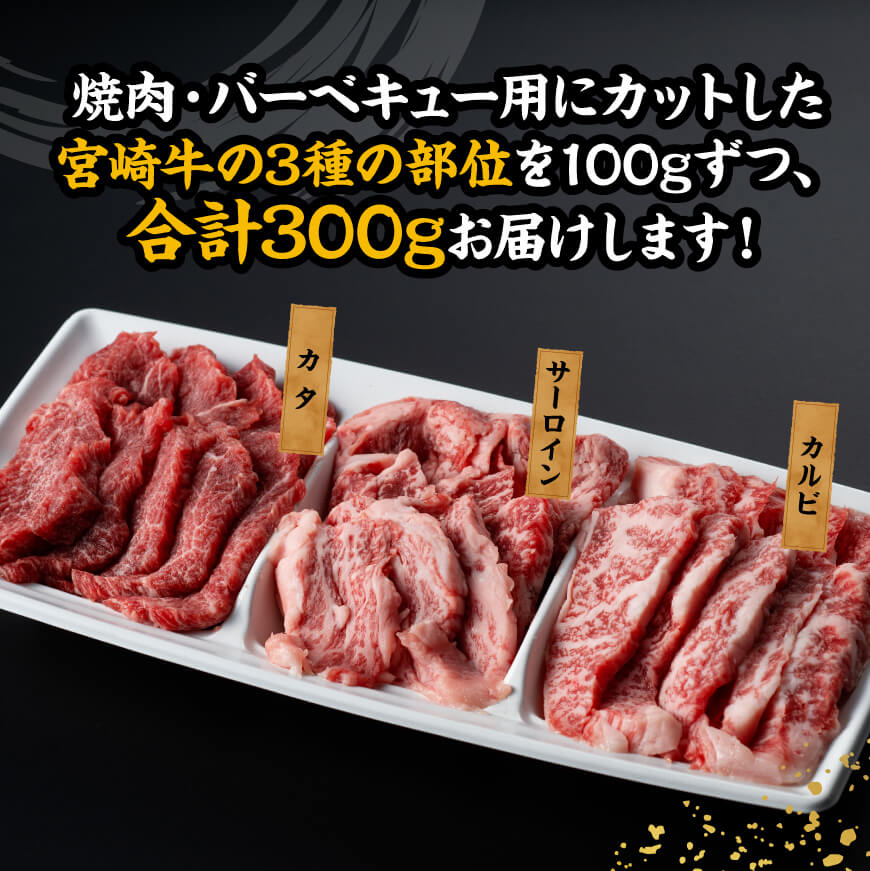 宮崎牛 焼肉 食べ比べ 3種盛 300g【 肉 牛肉 国産 宮崎県産 黒毛和牛 和牛 焼肉 バーベキュー 】