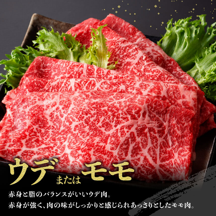 縲蝉サ、蜥8蟷エ7譛育匱騾√醍函逕」閠蠢懈抄シ√螳ョ蟠守恁逕」鮟呈ッ帛柱迚帙襍、霄ォ縺吶″縺励c縺カ500g 縺吶″辟シ縺 縺励c縺カ縺励c縺カ 迚幄i
