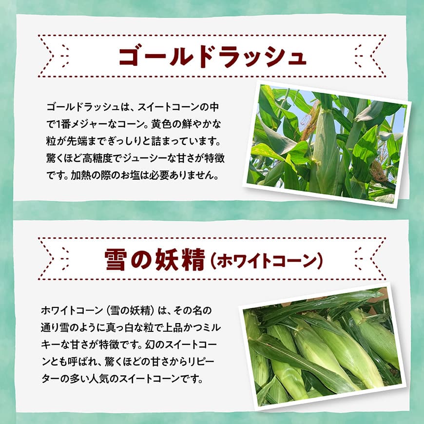 新【3回定期便】※令和8年発送※ 大山さんちのスイートコーン3種（5～8本） 【 先行予約 数量限定 期間限定 スィートコーン 2026年発送 先行受付 宮崎県産 九州産 定期便 】