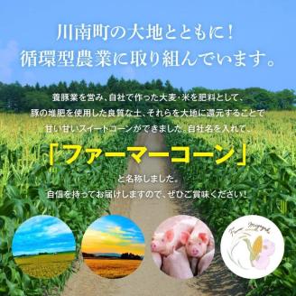 【令和7年発送】宮崎県産とうもろこし　ファーマー宮崎 ファーマーコーン「ゴールドラッシュ」12～13本【 とうもろこし 2025年発送 トウモロコシ スィートコーン 先行予約 数量限定 期間限定 先行受付 】